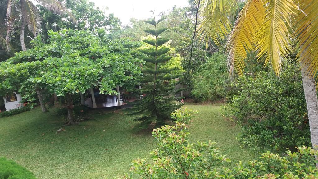 4 Seasons Guesthouse Hikkaduwa Extérieur photo