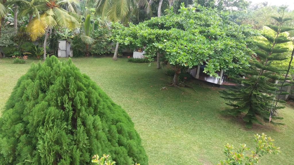 4 Seasons Guesthouse Hikkaduwa Extérieur photo